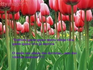 “ Embora quem quase morre esteja vivo, quem quase vive já morreu .” O medo nos afasta das derrotas....mas das vitórias também!!!!!! 