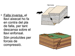 • Falla inversa, el
llavi aixecat ho fa
en contra del pla
de falla, per tant
descansa sobre el
llavi enfonsal.
Són produïdes per
forces de
compressió.

 