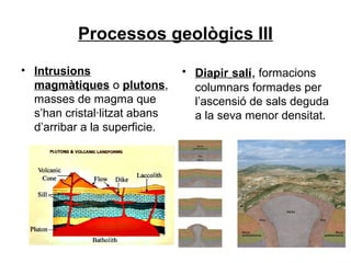 Processos geològics III
• Intrusions
magmàtiques o plutons,
masses de magma que
s’han cristal·litzat abans
d’arribar a la superficie.

• Diapir salí, formacions
columnars formades per
l’ascensió de sals deguda
a la seva menor densitat.

 