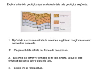 Explica la història geològica que es dedueix dels talls geològics següents:

1. Dipòsit de successius estrats de calcàries, argil·lites i conglomerats amb
concordant entre ells.
2.

Plegament dels estrats per forces de compressió.

3. Distensió del terreny i formació de la falla directa, ja que el bloc
enfonsat descansa sobre el pla de falla.
4.

Erosió fins al relleu actual.

 