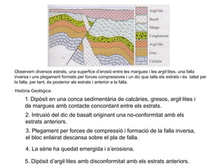 Observem diversos estrats, una superfice d’erosió entre les margues i les argil·lites, una falla
inversa i uns plegament formats per forces compressives i un dic que talla els estrats i és tallat per
la falla, per tant, és posterior als estrats i anterior a la falla.
Història Geològica:

1. Dipòsit en una conca sedimentària de calcàries, gresos, argil·lites i
de margues amb contacte concordant entre els estrats.
2. Intrusió del dic de basalt originant una no-conformitat amb els
estrats anteriors.
3. Plegament per forces de compressió i formació de la falla inversa,
el bloc enlairat descansa sobre el pla de falla.
4. La sèrie ha quedat emergida i s’erosiona.
5. Dipòsit d’argil·lites amb disconformitat amb els estrats anteriors.

 