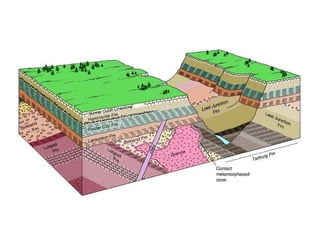 Estratigrafia