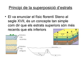 Principi de la superposició d’estrats
• El va enunciar el físic florentí Steno al
segle XVII, és un concepte tan simple
com dir que els estrats superiors són més
recents que els inferiors

 
