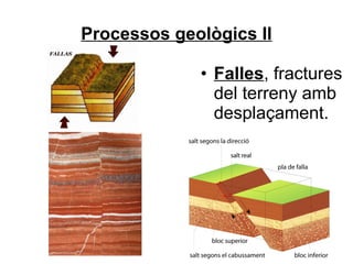Processos geològics II
• Falles, fractures
del terreny amb
desplaçament.

 