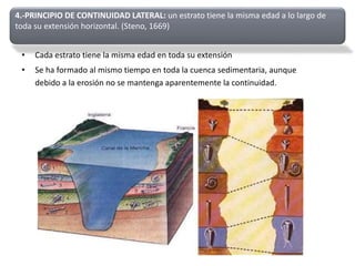 • Cada estrato tiene la misma edad en toda su extensión
• Se ha formado al mismo tiempo en toda la cuenca sedimentaria, aunque
debido a la erosión no se mantenga aparentemente la continuidad.
4.-PRINCIPIO DE CONTINUIDAD LATERAL: un estrato tiene la misma edad a lo largo de
toda su extensión horizontal. (Steno, 1669)
 