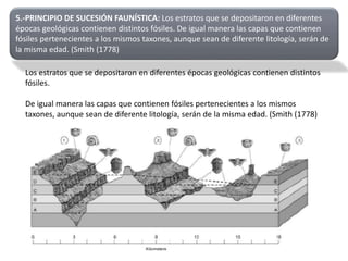 5.-PRINCIPIO DE SUCESIÓN FAUNÍSTICA: Los estratos que se depositaron en diferentes
épocas geológicas contienen distintos fósiles. De igual manera las capas que contienen
fósiles pertenecientes a los mismos taxones, aunque sean de diferente litología, serán de
la misma edad. (Smith (1778)
Los estratos que se depositaron en diferentes épocas geológicas contienen distintos
fósiles.
De igual manera las capas que contienen fósiles pertenecientes a los mismos
taxones, aunque sean de diferente litología, serán de la misma edad. (Smith (1778)
 