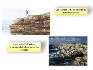 Los estratos se han originado de
forma horizontal
Fuerzas tectónicas han
provocado la inclinación de los
estratos
 