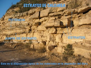 ESTRATOS DE CALCÁREA
JUNTA DE ESTRATO ESTRATOS
POTÉNCIA
Esta es la disposición típica de los materiales en la depresión del Ebro.
grosor de un estrato
material más delgado situado entre dos estratos
capas de roca
 