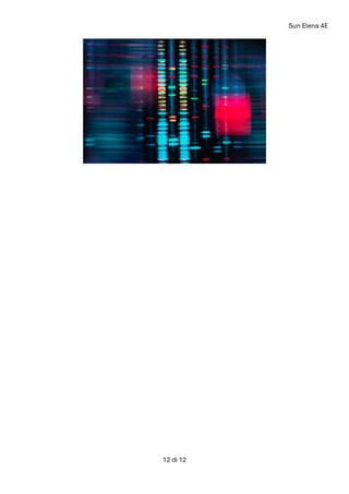 Sun Elena 4E
12 di 12
 