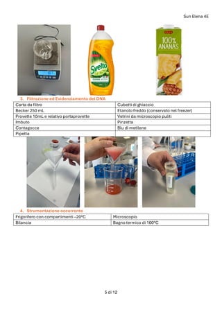 Sun Elena 4E
5 di 12
3. Filtrazione ed Evidenziamento del DNA
Carta da filtro Cubetti di ghiaccio
Becker 250 mL Etanolo freddo (conservato nel freezer)
Provette 10mL e relativo portaprovette Vetrini da microscopio puliti
Imbuto Pinzetta
Contagocce Blu di metilene
Pipetta
4. Strumentazione occorrente
Frigorifero con compartimenti –20°C Microscopio
Bilancia Bagno termico di 100°C
 