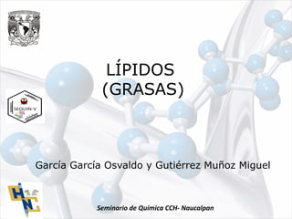 Seminario de Química CCH- Naucalpan
LÍPIDOS
(GRASAS)
García García Osvaldo y Gutiérrez Muñoz Miguel
 