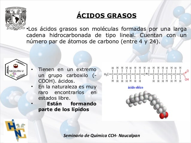 Estructura De Los Nutrientes