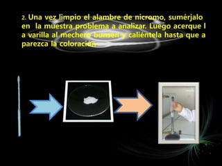 2. Una vez limpio el alambre de nicromo, sumérjalo
en la muestra problema a analizar. Luego acerque l
a varilla al mechero bunsen y caliéntela hasta que a
parezca la coloración.
 