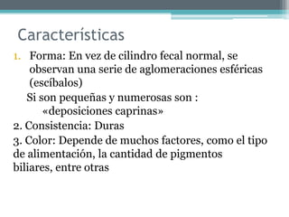Características
1. Forma: En vez de cilindro fecal normal, se
observan una serie de aglomeraciones esféricas
(escíbalos)
Si son pequeñas y numerosas son :
«deposiciones caprinas»
2. Consistencia: Duras
3. Color: Depende de muchos factores, como el tipo
de alimentación, la cantidad de pigmentos
biliares, entre otras
 
