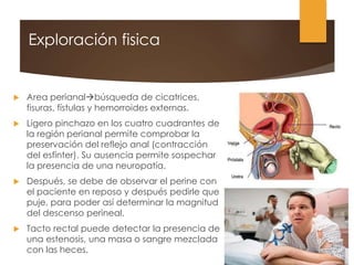 Exploración fisica
 Area perianalbúsqueda de cicatrices,
fisuras, fístulas y hemorroides externas.
 Ligero pinchazo en los cuatro cuadrantes de
la región perianal permite comprobar la
preservación del reflejo anal (contracción
del esfínter). Su ausencia permite sospechar
la presencia de una neuropatía.
 Después, se debe de observar el perine con
el paciente en reposo y después pedirle que
puje, para poder así determinar la magnitud
del descenso perineal.
 Tacto rectal puede detectar la presencia de
una estenosis, una masa o sangre mezclada
con las heces.
 