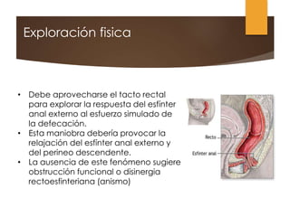 • Debe aprovecharse el tacto rectal
para explorar la respuesta del esfínter
anal externo al esfuerzo simulado de
la defecación.
• Esta maniobra debería provocar la
relajación del esfínter anal externo y
del perineo descendente.
• La ausencia de este fenómeno sugiere
obstrucción funcional o disinergia
rectoesfinteriana (anismo)
Exploración fisica
 