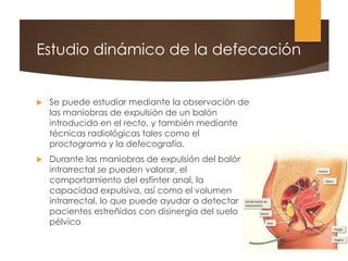 Estudio dinámico de la defecación
 Se puede estudiar mediante la observación de
las maniobras de expulsión de un balón
introducido en el recto, y también mediante
técnicas radiológicas tales como el
proctograma y la defecografía.
 Durante las maniobras de expulsión del balón
intrarrectal se pueden valorar, el
comportamiento del esfínter anal, la
capacidad expulsiva, así como el volumen
intrarrectal, lo que puede ayudar a detectar
pacientes estreñidos con disinergia del suelo
pélvico
 