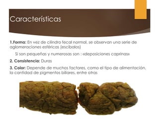 Características
1.Forma: En vez de cilindro fecal normal, se observan una serie de
aglomeraciones esféricas (escíbalos)
Si son pequeñas y numerosas son : «deposiciones caprinas»
2. Consistencia: Duras
3. Color: Depende de muchos factores, como el tipo de alimentación,
la cantidad de pigmentos biliares, entre otras
 