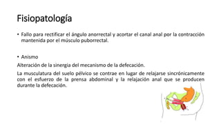 Fisiopatología
• Fallo para rectificar el ángulo anorrectal y acortar el canal anal por la contracción
mantenida por el músculo puborrectal.
• Anismo
Alteración de la sinergia del mecanismo de la defecación.
La musculatura del suelo pélvico se contrae en lugar de relajarse sincrónicamente
con el esfuerzo de la prensa abdominal y la relajación anal que se producen
durante la defecación.
 
