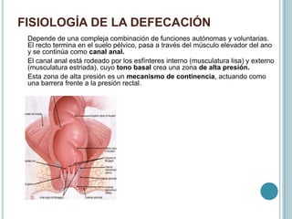 FISIOLOGÍA DE LA DEFECACIÓN
Depende de una compleja combinación de funciones autónomas y voluntarias.
El recto termina en el suelo pélvico, pasa a través del músculo elevador del ano
y se continúa como canal anal.
El canal anal está rodeado por los esfínteres interno (musculatura lisa) y externo
(musculatura estriada), cuyo tono basal crea una zona de alta presión.
Esta zona de alta presión es un mecanismo de continencia, actuando como
una barrera frente a la presión rectal.
 