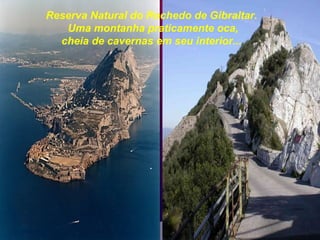 Reserva Natural do Rochedo de Gibraltar.
Uma montanha praticamente oca,
cheia de cavernas em seu interior...
 