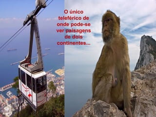 O único
teleférico de
onde pode-se
ver paisagens
de dois
continentes...
 