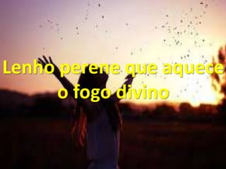 Lenho perene que aquece
o fogo divino
 