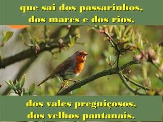 que sai dos passarinhos,
 dos mares e dos rios,




 dos vales preguiçosos,
 dos velhos pantanais.
 