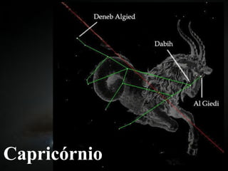 Capricórnio 