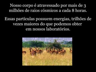 Nosso corpo é atravessado por mais de 3
milhões de raios cósmicos a cada 8 horas.
Essas partículas possuem energias, trilhões de
vezes maiores do que podemos obter
em nossos laboratórios.
 
