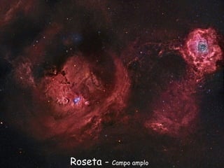 Roseta - Campo amplo
 