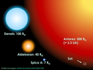 Crédito da imagem: André Luiz da Silva/CDA/CDCC/USP
Antares: 500 Rʘ
(= 2,3 UA)
Deneb: 100 Rʘ
Aldebaran: 40 Rʘ
Spica A: 7 Rʘ
Sol:
 