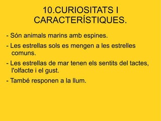 10.CURIOSITATS I
          CARACTERÍSTIQUES.
- Són animals marins amb espines.
- Les estrellas sols es mengen a les estrelles
  comuns.
- Les estrellas de mar tenen els sentits del tactes,
  l'olfacte i el gust.
- També responen a la llum.
 