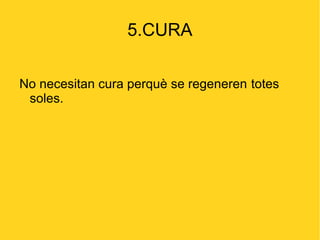 5.CURA

No necesitan cura perquè se regeneren totes
 soles.
 