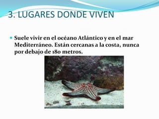 3. LUGARES DONDE VIVEN

 Suele vivir en el océano Atlántico y en el mar
 Mediterráneo. Están cercanas a la costa, nunca
 por debajo de 180 metros.
 