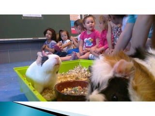 Estrellita y manchitas