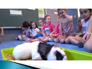 Estrellita y manchitas