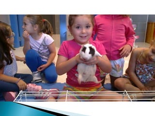 Estrellita y manchitas