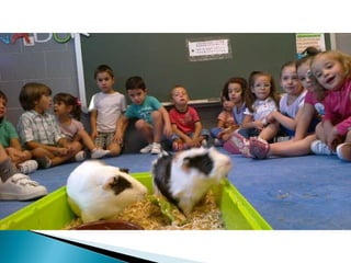 Estrellita y manchitas