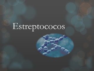 Estreptococos
 