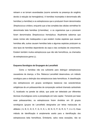 retraem e se tornam esverdeadas (ocorre somente na presença de oxigênio

devido à redução da hemoglobina). A hemólise incompleta é denominada alfa

hemólise (α-hemólise) e os estreptococos que a produzem foram denominados

Streptococcus viridans, enquanto que a lise completa das células vermelhas foi

denominada beta hemólise (β-hemólise)      e os organismos que a provocam

foram denominados Streptococcus hemolyticus. Atualmente sabemos que

esses nomes são inadequados e que existem muitas espécies que causam

hemólise alfa, outras causam hemólise beta e algumas espécies produzem os

dois tipos de hemólise dependendo da cepa e das condições de crescimento.

Existem também muitos estreptococos que não são hemolíticos, os chamados

de estreptococos gama (γ).



Esquema Sorológico de Grupagem de Lancefield

      Como a hemólise não era suficiente para distinguir estreptococos

causadores de doença, a Dra. Rebecca Lancefield desenvolveu um método

sorológico para a distinção dos estreptococos beta hemolíticos. A classificação

dos estreptococos em grupos sorológicos baseia-se nas características

antigênicas de um polissacarídeo de composição variável chamado carboidrato

C, localizado na parede da célula, que pode ser detectado por diferentes

técnicas imunológicas como a precipitação em tubo capilar. Tomando por base

esse polissacarídeo, os estreptococos foram divididos em 20 grupos

sorológicos (grupos de Lancefield) designados por letras maiúsculas do

alfabeto ( A, B, C, D, E, F, G, H, K, L, M, N, O, P, Q, R, S, T, U e V). Esse

método de identificação é amplamente aceito para a identificação dos

estreptococos beta hemolíticos. Entretanto, salvo raras exceções, não se
 