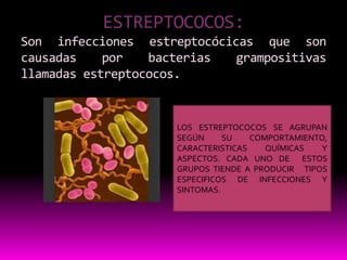 ESTREPTOCOCOS:
Son infecciones estreptocócicas que son
causadas    por   bacterias  grampositivas
llamadas estreptococos.


                     LOS ESTREPTOCOCOS SE AGRUPAN
                     SEGÚN     SU    COMPORTAMIENTO,
                     CARACTERISTICAS    QUÍMICAS   Y
                     ASPECTOS. CADA UNO DE ESTOS
                     GRUPOS TIENDE A PRODUCIR TIPOS
                     ESPECIFICOS DE INFECCIONES Y
                     SINTOMAS.
 