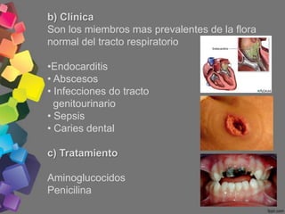 b) Clínica

- Neumonias
- Meningitis
- Bepticemias
- Otitis média
- infecciones
oculares
- Sinusitis
- Bacteriemias
 