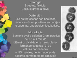 Etiología
           Streptus: flexible.
         Coccus: grano o baya.

               Definición
    Los estreptococos s...