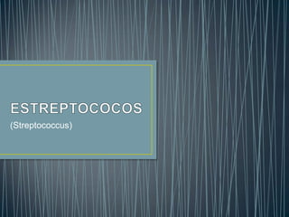 (Streptococcus)

 