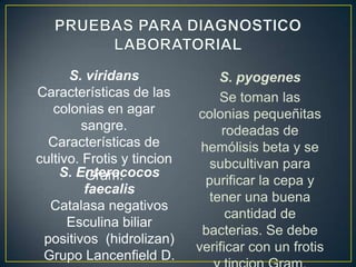 S. viridans
Características de las
colonias en agar
sangre.
Características de
cultivo. Frotis y tincion
S. Enterococos
Gram.
faecalis
Catalasa negativos
Esculina biliar
positivos (hidrolizan)
Grupo Lancenfield D.

S. pyogenes
Se toman las
colonias pequeñitas
rodeadas de
hemólisis beta y se
subcultivan para
purificar la cepa y
tener una buena
cantidad de
bacterias. Se debe
verificar con un frotis

 