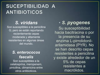 S. viridans

• S. pyogenes

Son susceptibles a la penicilina
G; pero se están reportando
recientemente cepas
moderada y altamente
resistentes en algunas áreas
del mundo.

Su susceptibilidad
hacia bacitracina o por
la presencia de su
enzima L-pirrolidonilarilamidasa (PYR). No
se han descrito cepas
resistentes a penicilina
y existe alrededor de un
5% de cepas
resistentes a
macrólidos.

S. enterococos
faecalis
Son susceptibles a la
celalosprina, meropenem,
pinicilina, climanicina entre
otros antibioticos.

 