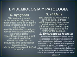S. pyogenes

S. viridans

Esta especie se localiza en la
"Se asocia a muchas
cavidad bucal, el tracto
enfermedades, algunas muy
gastrointestinaly en el tracto
importantes: faringitis estreptoc
genital femenino; este se
ócica, infecciones de piel por
transimite cuando+las cepas
estreptococo
invaden sitios esteriles y/o
(celulitis, erisipelas, impétigos,
tratamientos dentales.
fascitis necrotizante).Persona
a persona:gotitas
S. Enterococos faecalis
respiratoriasFisuras en la piel
"La caracteristica mas destacada de los
, escoriacionesFiebre
enterococos que les permite ocasionar
reumática: infección no
enfermedades es su inusual resistencia a
supuradaComo complicación
los antibioticos. Los enterococos pueden
de otros sitios
adherirse a las válvulas cardíacas y a las
infectadosGlomerulonefritisEnd células epiteliales renales, propiedades que
ocarditis"
sin duda contribuyen a su habilidad para
causar endocarditis e infecciones del tracto
urinario."

 