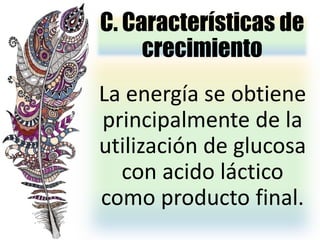 C. Características de
crecimiento
La energía se obtiene
principalmente de la
utilización de glucosa
con acido láctico
como producto final.
 