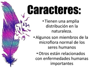 Caracteres:
•Tienen una amplia
distribución en la
naturaleza.
•Algunos son miembros de la
microflora normal de los
seres humanos
•Otros están relacionados
con enfermedades humanas
importantes
 
